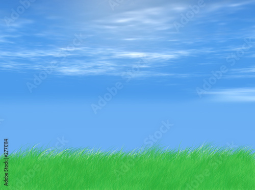 grass and sky