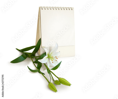 happy special day, my love. flower, calendar