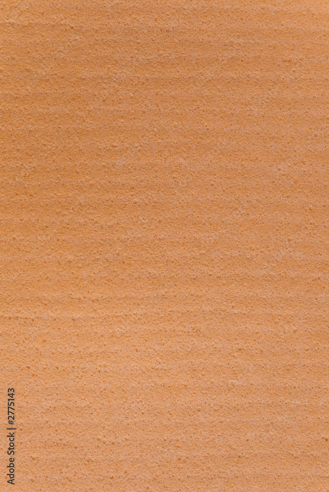 Fototapeta premium kitchen sponge texture