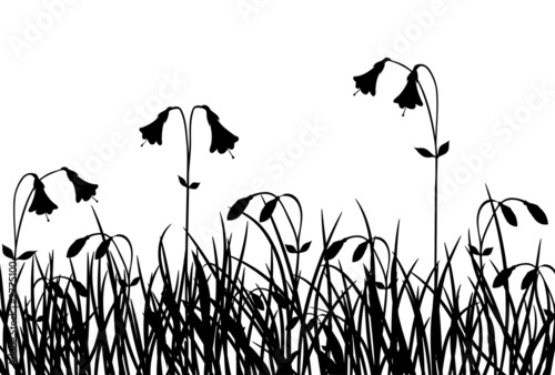 grass and flower