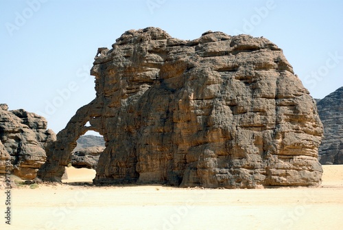arche de tikoubaouine - éléphant © Sahara Nature