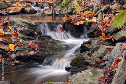 Obraz na plátne autumn brook