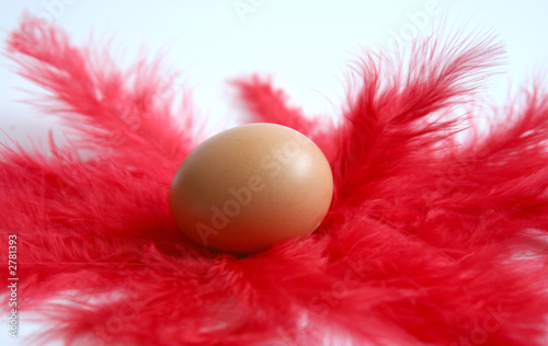 egg