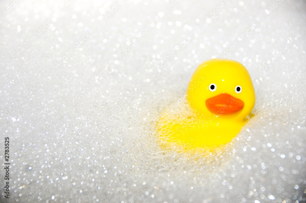rubber duck rubber duck
