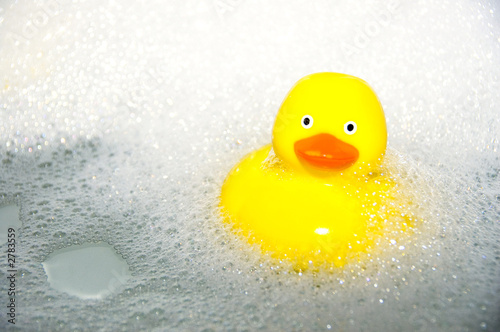rubber duck