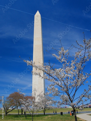 washington monument