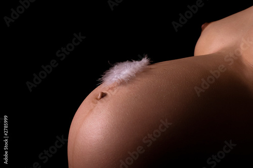 Tableau sur toile feder auf babybauch