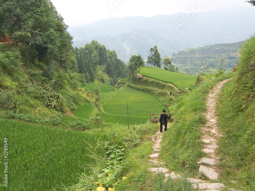 a woman going on the ricefields for daywork, hunan, china photo