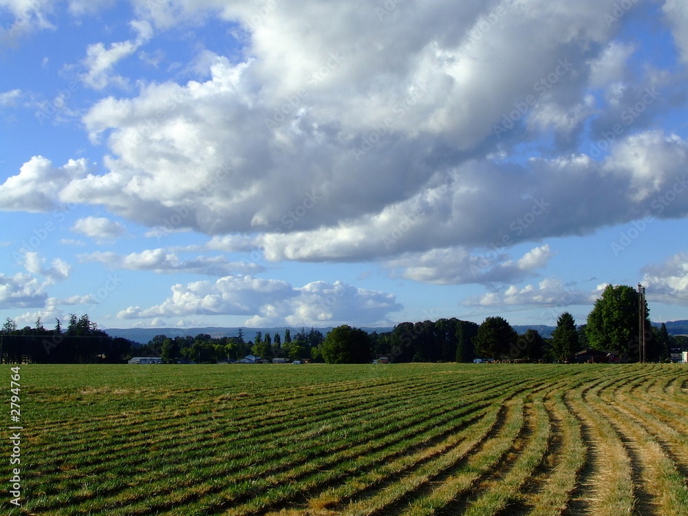 farm fields