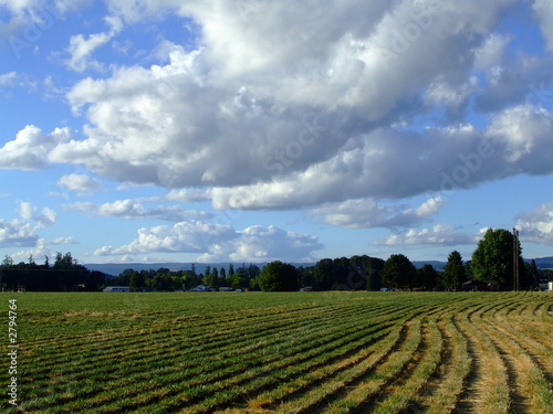 farm fields