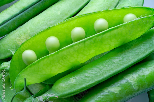 pea pod closeup (1)