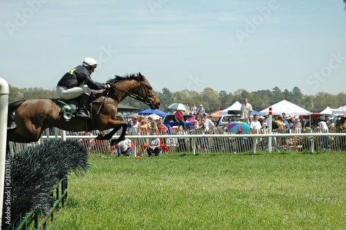 jumping horse