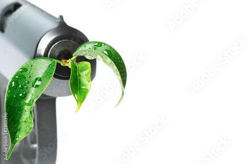 gun with green leaf in barrel photo