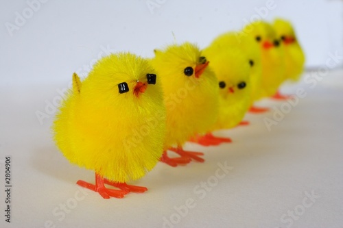 six chickens