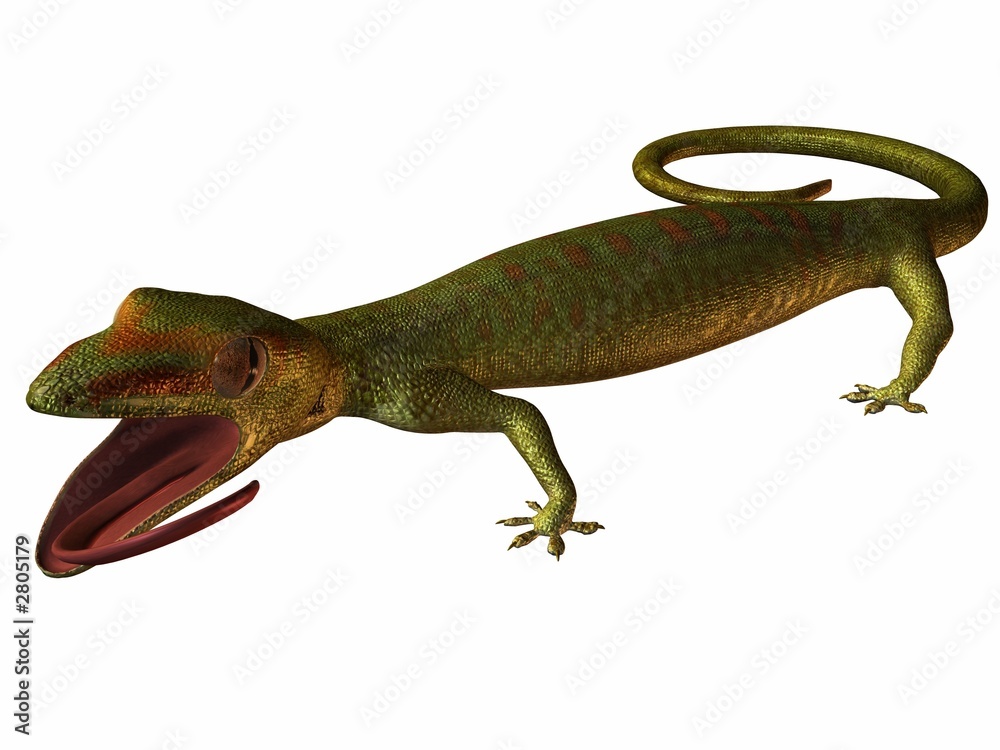 Fototapeta premium gecko