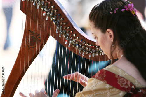 harp player