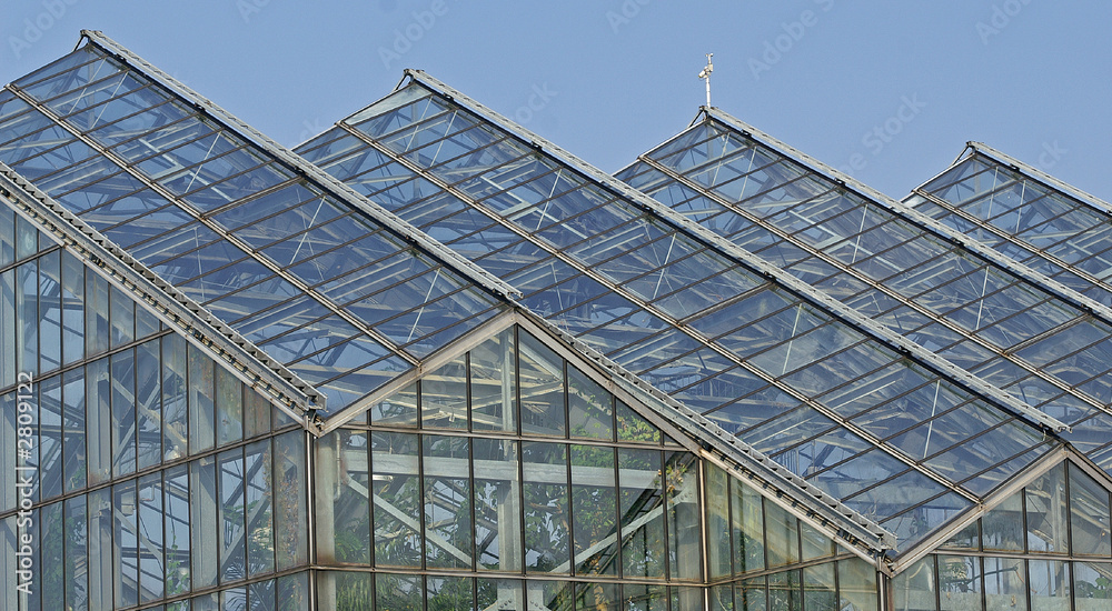 Fototapeta premium gewächshaus