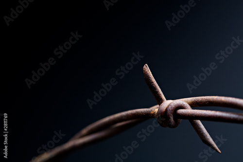 barbed wire macro on black