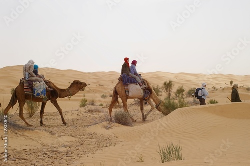 méharée dans le grand erg oriental © Sahara Nature