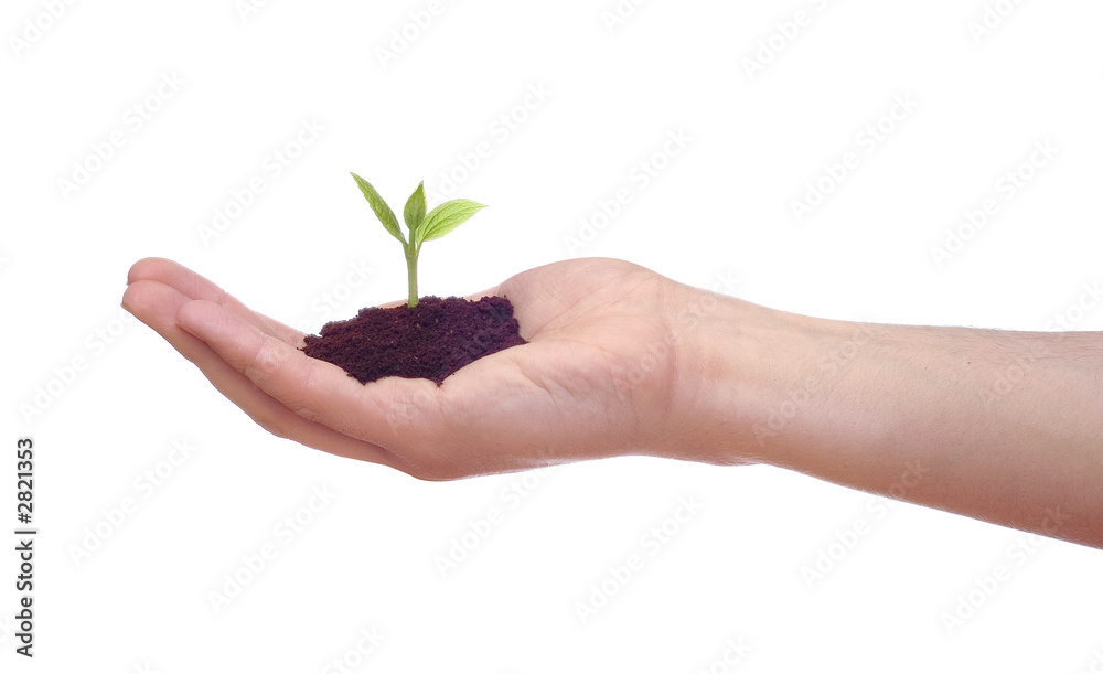 croissance growth croissance growth