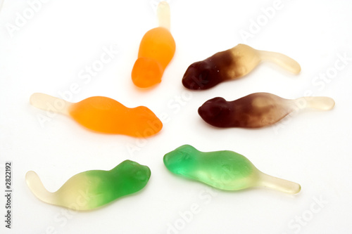 Fotografia gummy rats