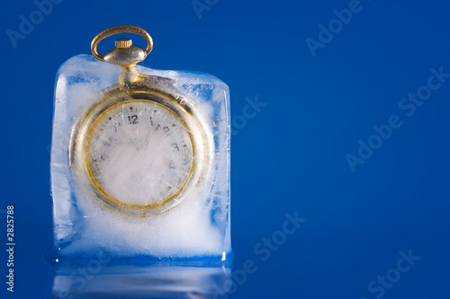 frozen in time 2