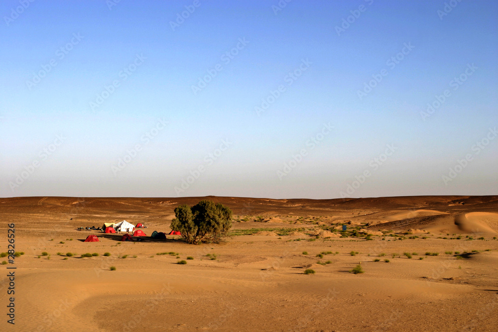 bivouac dans le désert