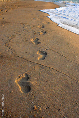 footprints in the sand.