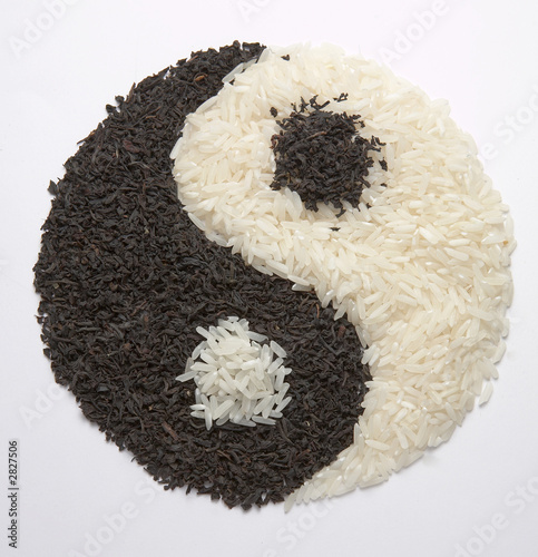 yin yang 6
