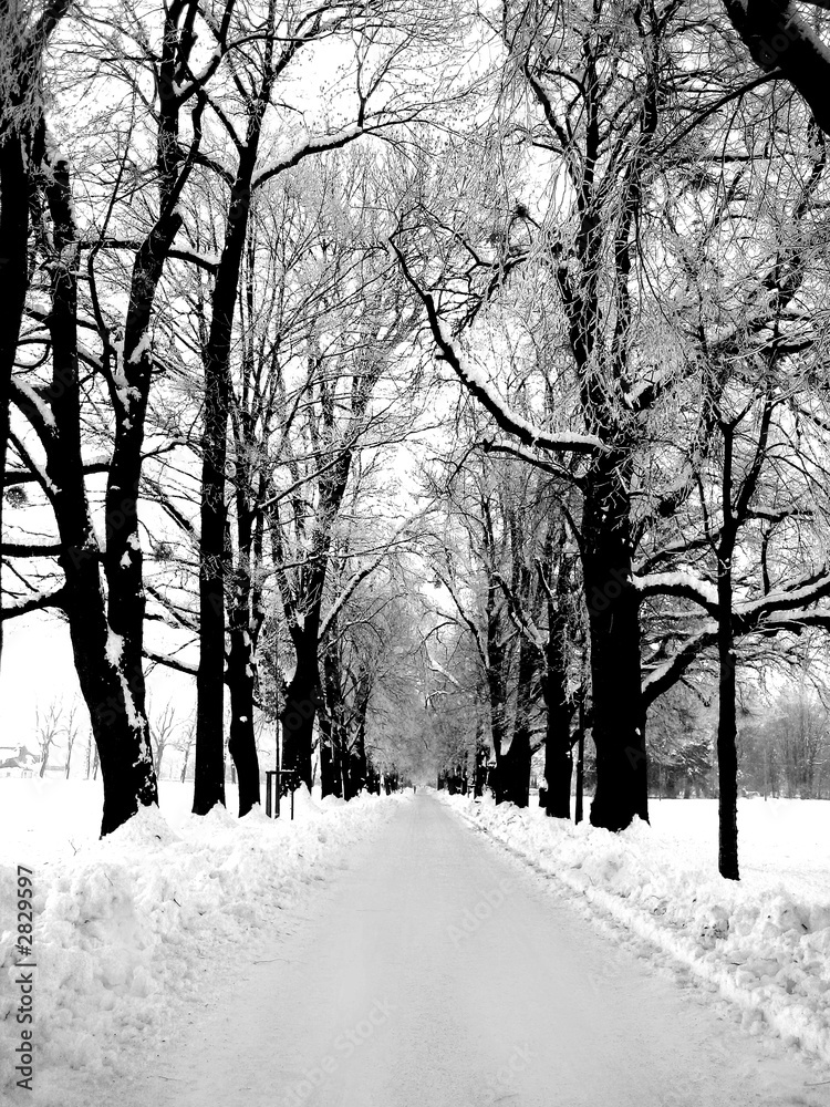 sunrise in salzburg, austria, greyscale sunrise in salzburg, austria, greyscale