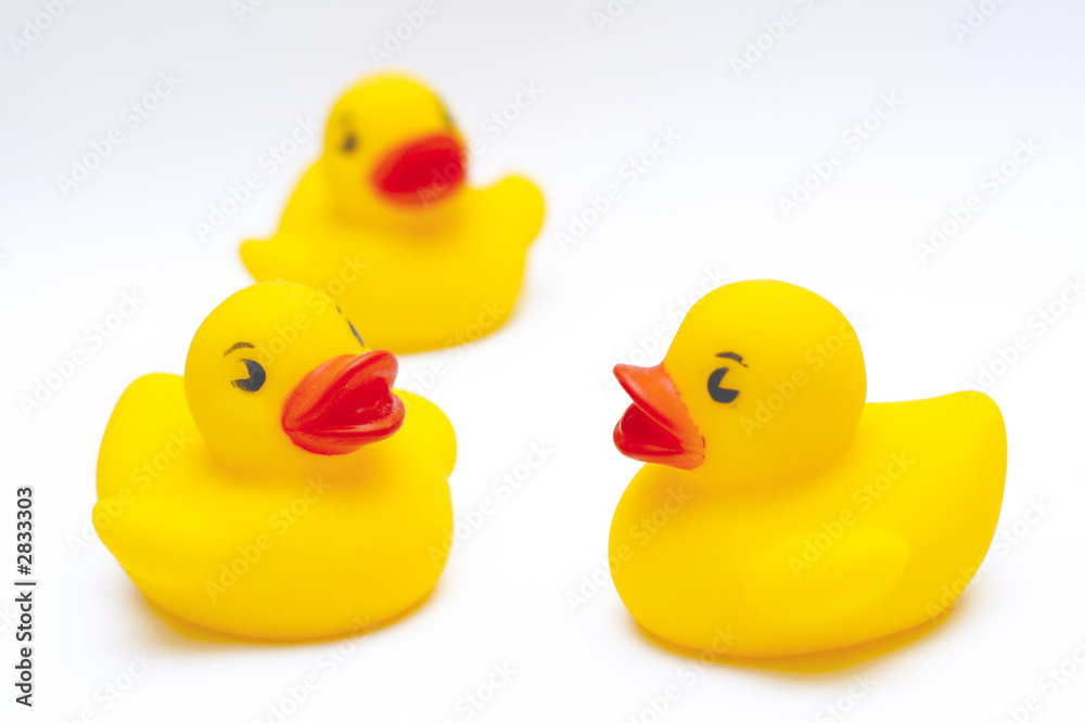 rubber ducks rubber ducks