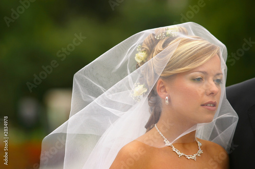 beautiful bride