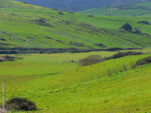 campagna sarda photo