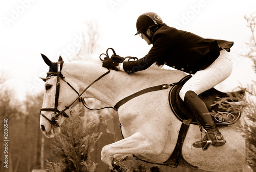 concours hippique