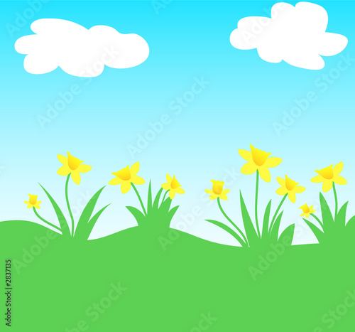 yellow daffodils © cycreation