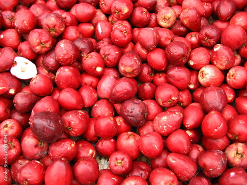 jambo früchte, (Syzygium jambos) Myrtaceae Familie. Amazonas, Brasilien photo