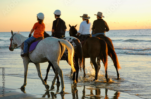 excercising horses at daybreak along the beach