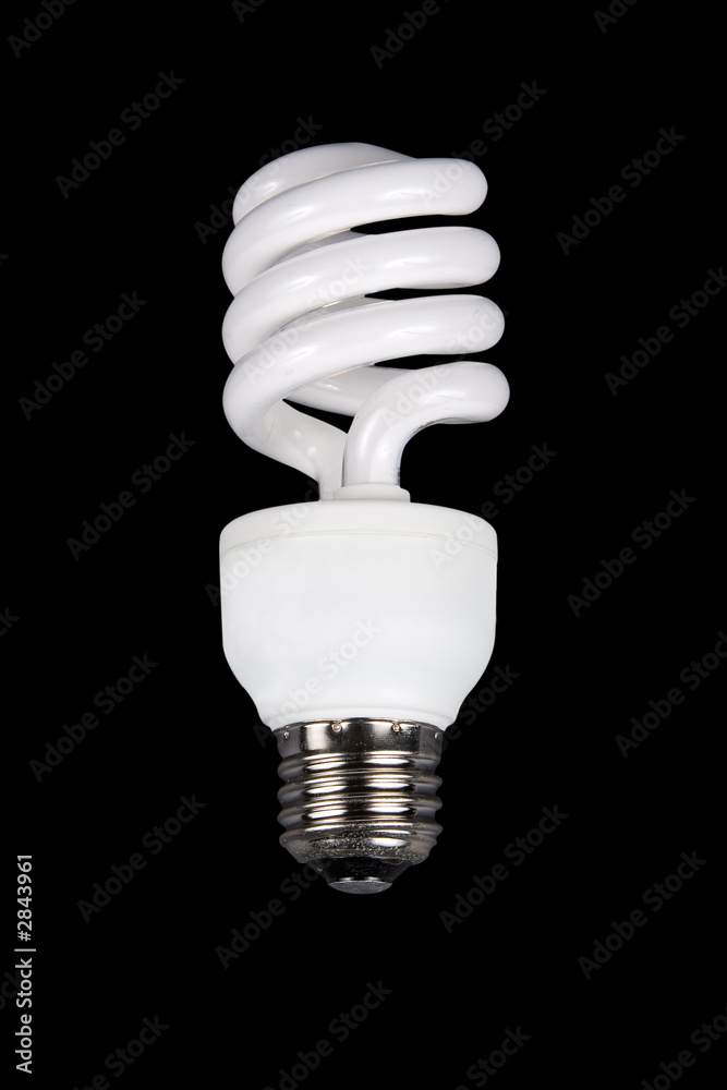 fluorescent light bulb fluorescent light bulb
