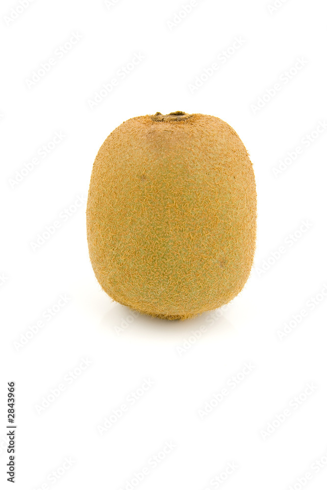 Fototapeta premium kiwi