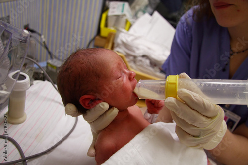 newborn feeding