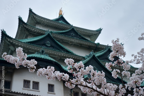 chateau japonais