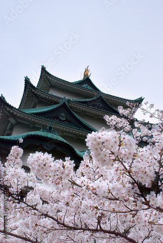 chateau japonais