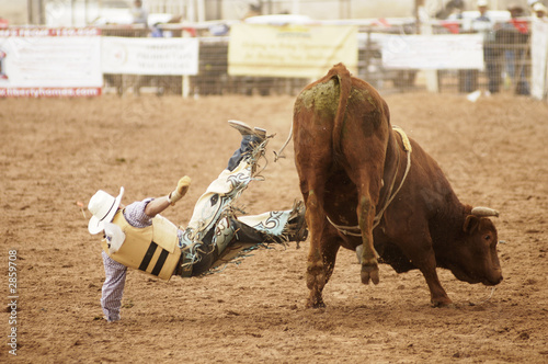 bull riding 12
