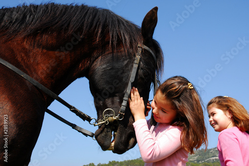 jumelles et cheval