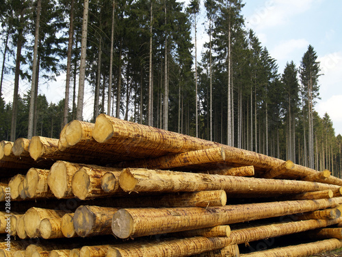 forstwirtschaft