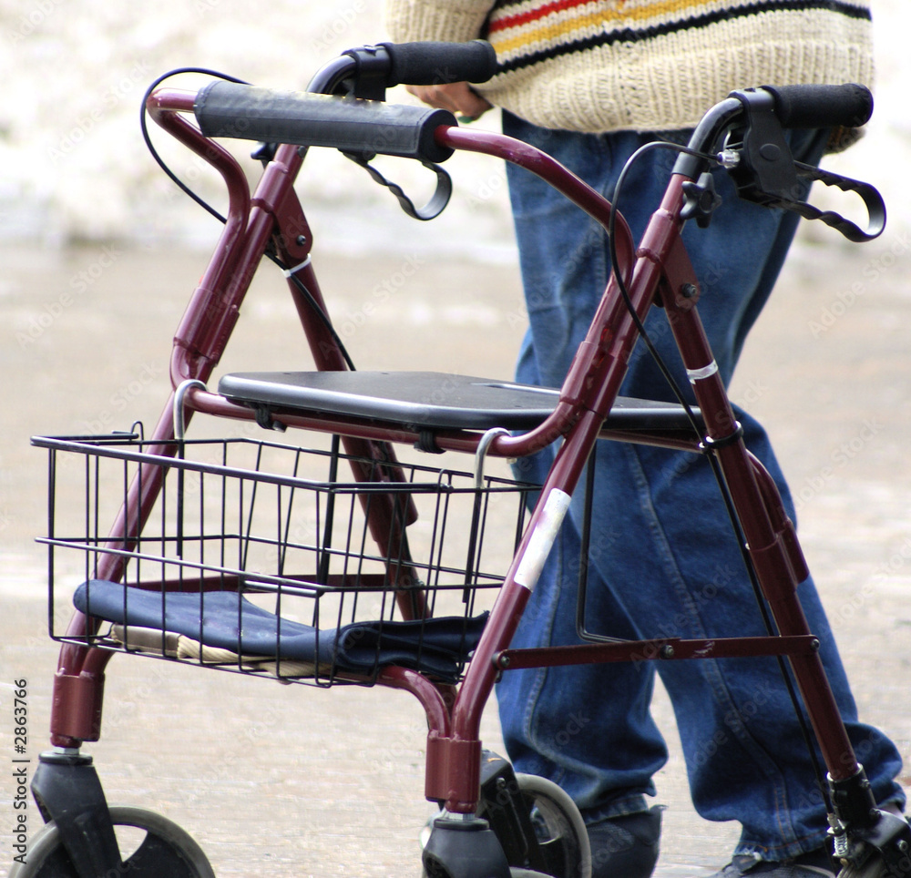 custom made wallpaper toronto digitalmoving carefully in the snow
