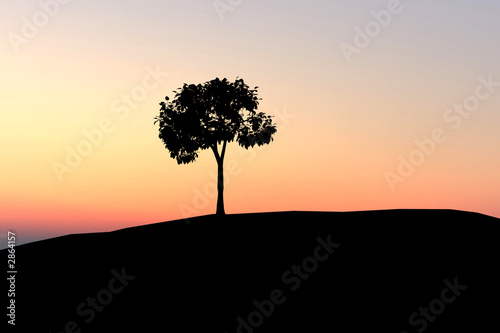 lonely tree on sunset background