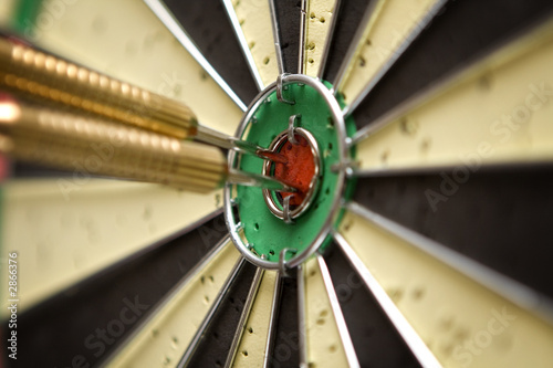 hitting the bull's eye