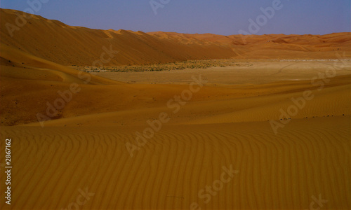 liwa shapkra view