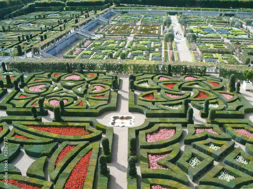 pattern of the villandry french garden, loire country, france photo
